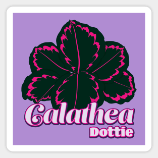 Calathea Dottie Magnet